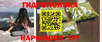 круглые Тара