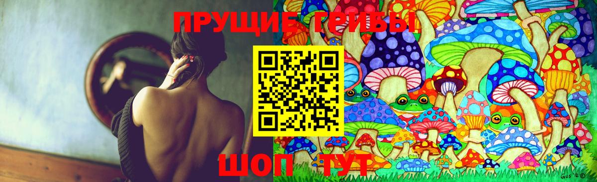 Топки  Галлюциногенные грибы Cubensis  Вход с VPN 